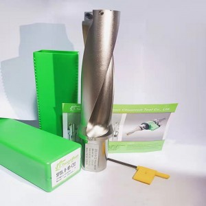 4d u druil isteach spmg